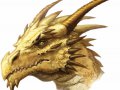 Dragon-Gold.jpg