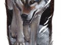 Wolf_Feather_by_lenzamoon.jpg