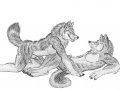 mm_yiff.jpg