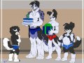 shadowcollie_wb_happybirthdayshadow_0_u18chan.jpg