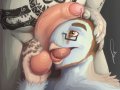 1454476736.agroalba_owlface.jpg