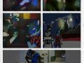 1486070592.stitch-mimulus_stitch_and_celshin__zoom_.jpg