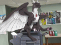 1675019287.ishiru_untitled-2.gif