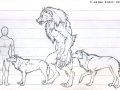 Rough_Dyre_Scale_by_Emryswolf.jpg