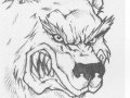 Werewolf_by_dolphinboy2000.jpg