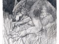 Werewolf_in_the_meadows_by_FerosWolf.jpg