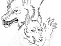 Wolf_and_Coyote_sketch_by_jidane.jpg