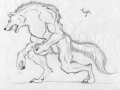 _Werewolf_pencil_study__by_DarkDemonWolf.jpg