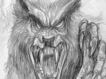 werewolf_sketch.jpg