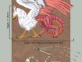 Dragonic_Griffon_by_Tarjcia.jpg