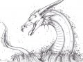 Sea_Dragon_by_ChiroOokami.jpg