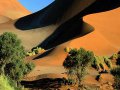 st-wish001@dune_at_sossusvlei.jpg