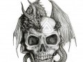 A_dragon_and_his_skull_by_alecan.jpg