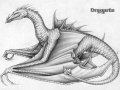 DRAGARTA_e1ca61444.jpg