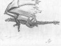 Drache_005.jpg