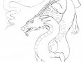 Dragon_lineart_by_bluedemon00.jpg