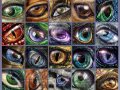 Eye_con_Patchwork_II_by_TheNeonGryphon.jpg