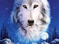 Pp0556NightoftheWolves-Fa.jpg