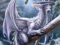 Snow_dragon_by_Ironshod.jpg