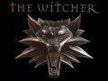 The_Witcher_by_Daerdin.jpg