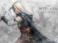 The_Witcher_by_OmeN2501.jpg