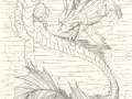 Water_Dragon_II_by_Lileth.jpg