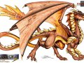 dragon-color.jpg