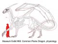 dragon0199.jpg