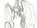 dragondrawn056.jpg