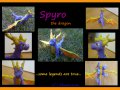 spyro_1728104813-980.jpg