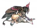 unknown-gryphon2.jpg