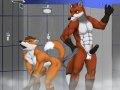 m_1339563427691_kuronoenyo_werefoxes_lockerroom_2012.jpg