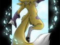 1202258944_ookami-girl_renamon_diam.jpg