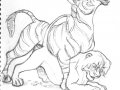 gay_furry_lion_king_simba_and_zebra_sex_yiff__lk081.jpg