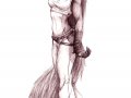 Femme_Fox_by_Fox_Dev.jpg