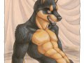 1213680442.ginko-dog_male_doberman_pinup_sm.jpg