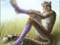 1200520083.zen_cheetah2.jpg