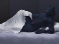 1572390000.virtyalfobo_bed_wolf.jpg
