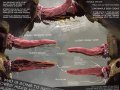 1385062007.salireths_dockable_penis.jpg