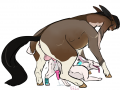d49d5216b9a857e99df3c2a51b1fd0a9.png