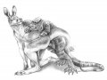 m_1459586818254_Kangaroo-MonitorLizard.jpg